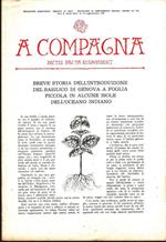 A  Compagna. Rivista. n. 4/5 luglio-ottobre 1978