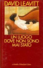 Un luogo dove non sono mai stato - David Leavitt