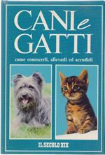 Cani e Gatti - Bianca Tamagnone