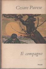 Il compagno