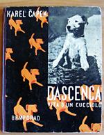 DASCENCA - Vita d'un cucciolo - Illustrazioni e fotografie di CAPEK