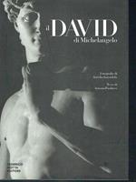 Il David di Michelangelo