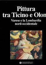 Pittura Tra Ticino E Olona Varese E La Lombardia Nord-Occidentale