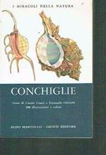 Conchiglie / C. Conci-F. Ghisotti