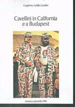 Cavellini In California E A Budapest Mostra A Domicilio 1980