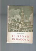 Il Santo Di Padova