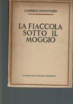 la fiaccola sotto il moggio