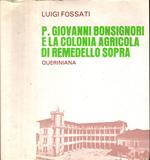 P. Giovanni Bonsignori E La Colonia Agricola Di Remedello Sopra