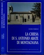 La Chiesa Di S.Antonio Abate Di Montagnana