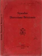 Synodus Dioecesana Brixiensis