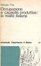 Occupazione e capacità produttive: la realtà italiana