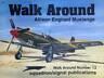 Walk Around. Allison Engines Mustangs. Walk Around n°13 - G. Phillips - copertina