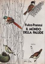 Il mondo della palude