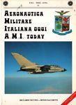Aeronautica Militare Italiana oggi,A.M.I. today