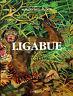 Ligabue