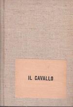 Il Cavallo