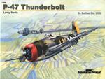 P-47 Thuderbolt