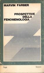 Prospettive della fenomenologia