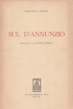 Sul D'Annunzio