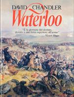 Waterloo. I cento giorni