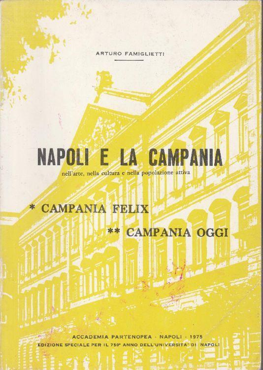 1° edizione! Napoli e la Campania nell'arte nella cultura e nella popolazione attiva: parte 1 Campania Felix, parte 2 Campania oggi - copertina