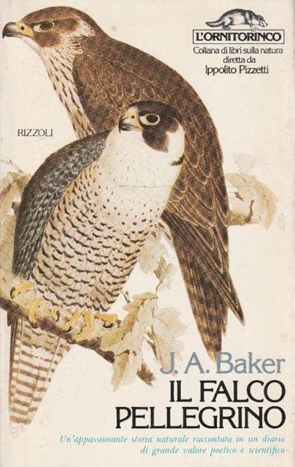 1° edizione ! Il falco pellegrino. Un'appassionante storia naturale raccontata in un diario di grande valore poetico e scientifico - Jeanette Baker - copertina