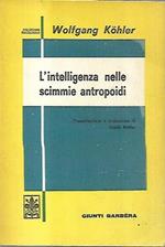 L' intelligenza nelle scimmie antropoidi