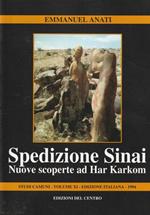 Spedizione Sinai. Nuove scoperte ad Har Karkom. Studi camuni Vol. 11