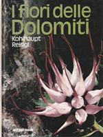 I fiori delle Dolomiti di Paula Kohlhaupt