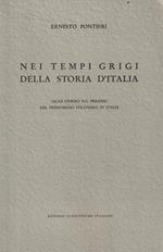 Nei tempi grigi della storia d'Italia. Saggi storici sul periodo del predominio straniero in Italia