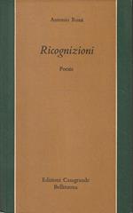 Ricognizioni