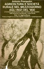 Agricoltura e società rurale nel mezzogiono agli inizi del '900: Vol. 1 L' agricoltura