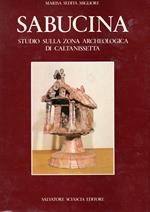 Sabucina. Studio sulla zona archeologica di Caltanissetta