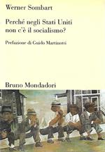 Perché negli Stati Uniti non c'è il socialismo?