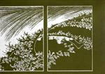 Hokusai,le cento vedute del fuji