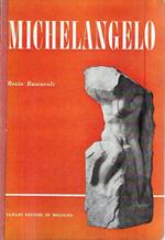 Michelangelo. La vita - La teoria sull'arte - Le opere