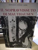 Il Sopravvisuto di mauthausen francesco antonio careri