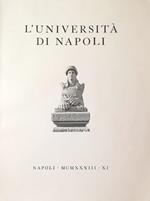 L' Università Di Napoli