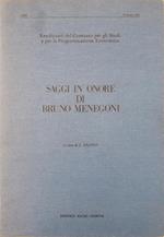 Saggi In Onore Di Bruno Menegoni