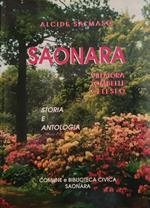 Saonara Villatora Tombelle Celeseo. Storia E Antologia Di: Salmanso Alcide