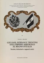 Giuliani, Istrani E Trentini Dall'Impero Asburgico Al Regno D'Italia. Societa' ,Istruizoni E Rapporti Etnici