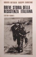 Breve Storia Della Resistenza Italiana
