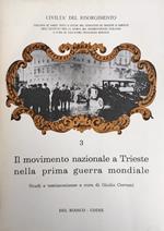 Il Movimento Nazionale A Trieste Nella Prima Guerra Mondiale