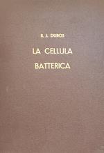 La Cellula Batterica