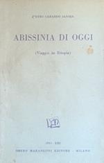 Abissinia Di Oggi (Viaggio Di Etiopia)