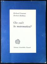 Che Cos'e' La Matematica