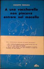 A una vaccherella non piaceva entrare nel macello