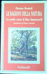 Le ragioni della natura : un profilo critico di Bino Sanminiatelli