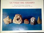 La Valle del Chiampo : brevi note di paleontologia e di paletnologia : il nuovo museo preparato dai frati francescani della Pieve