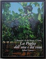 La Puglia dell'uva e del vino
